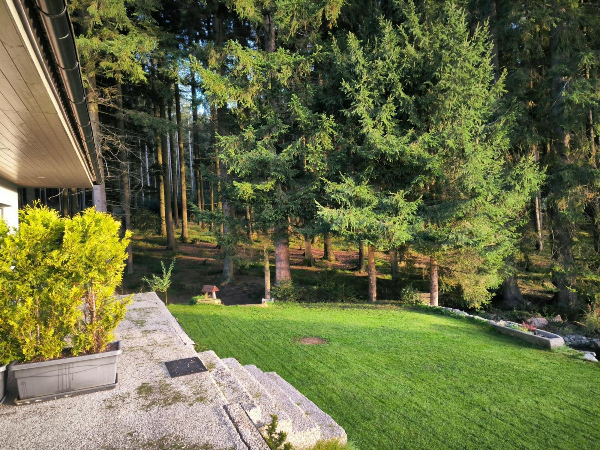 Apartmany Lipnoczech Фримбурк Екстер'єр фото