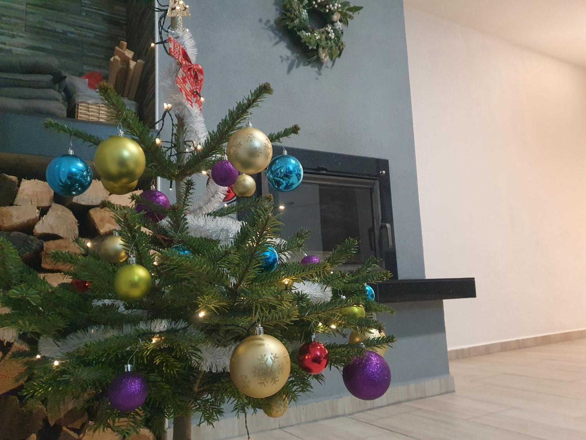 Apartmany Lipnoczech Фримбурк Екстер'єр фото